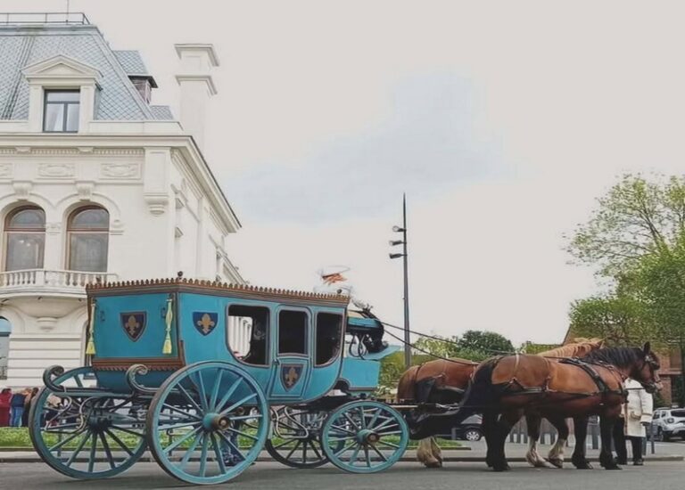 626975149 675983218874293 3804546493411365610 n 768x550