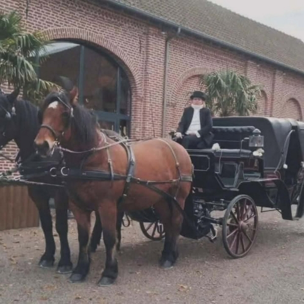 629429507 1603269944031239 4415744911669308831 n