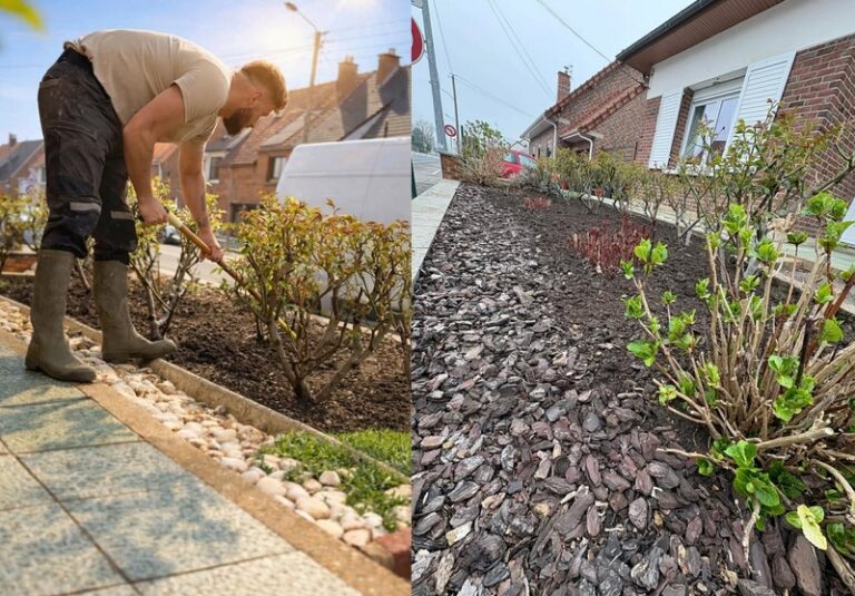 653507937 842692985502207 4408074337024884907 n 768x535