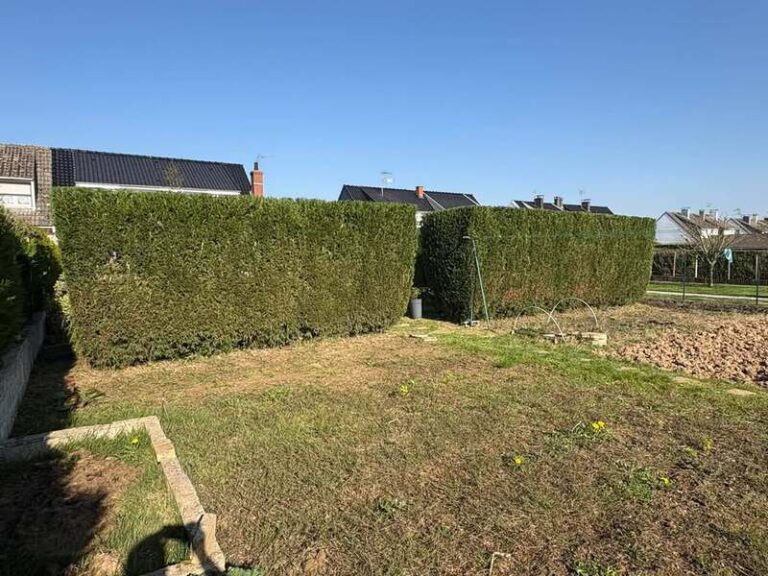 653745323 948991414486394 1807632719663919656 n 768x576