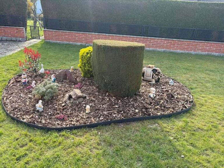 653853329 694512613718579 7338937779870379867 n 768x576