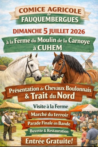 Présentation de chevaux ce dimanche 5 juillet à Fléchin