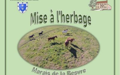 Mise à l’herbage – WITTERNESSE