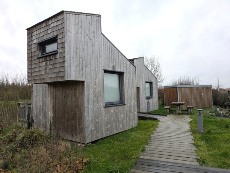 PXL 20260227 154632799 768x577