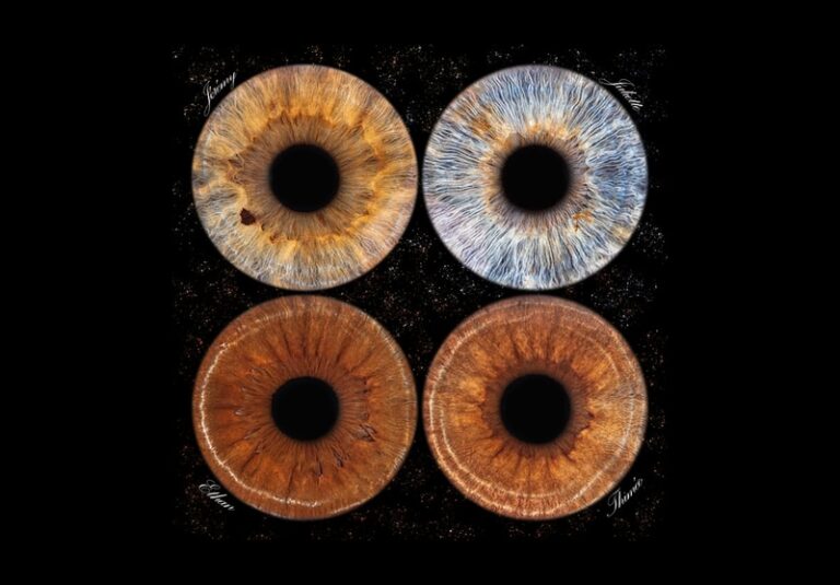 Sans titre 6 768x535