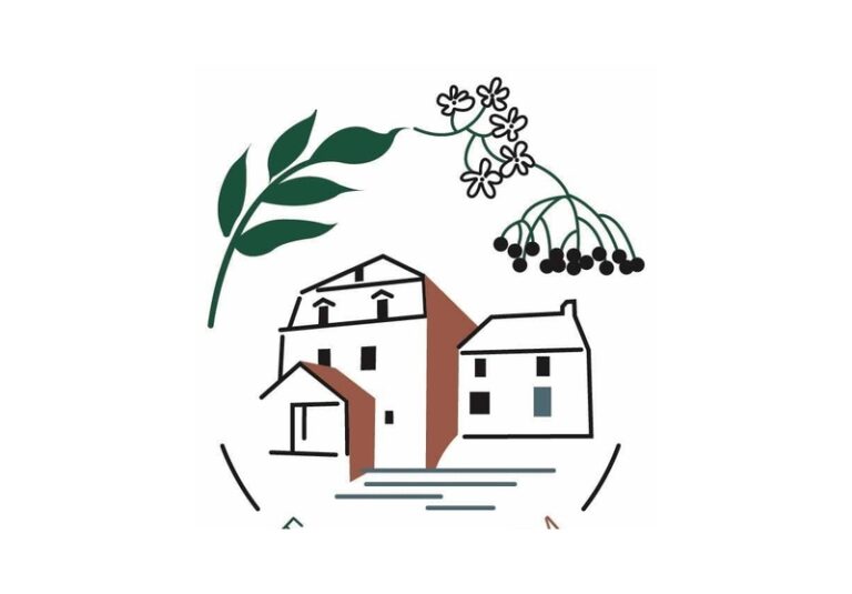 en wittm a witternesse 768x535