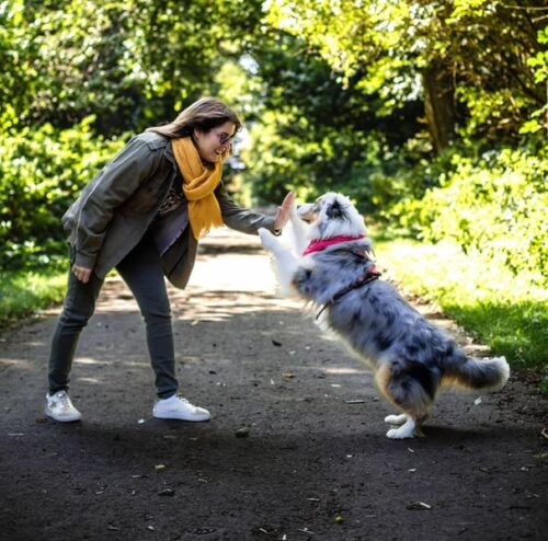 Nina de lambres a sorti un livre en avril dernier pour raconter sa relation avec son chien