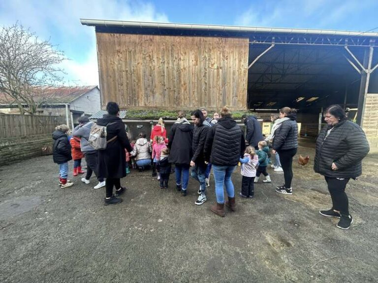 644527761 1674059530622316 490738935596438769 n 768x576