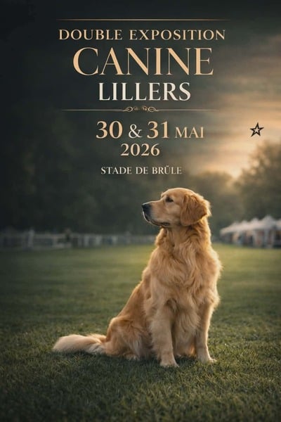 Double exposition canine à Lillers les 30 et 31 mai prochain