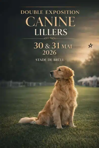 Double exposition canine à Lillers les 30 et 31 mai prochain