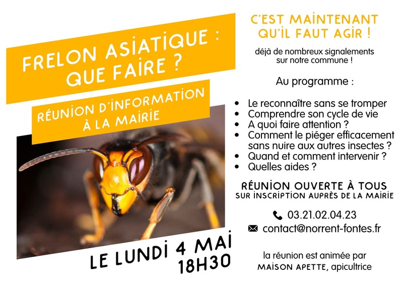 Une réunion pour informer sur le frelon asiatique ce lundi 4 mai