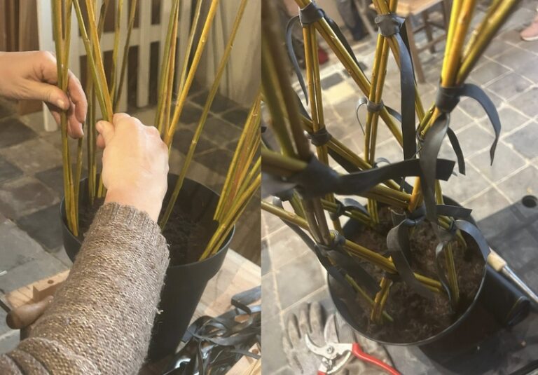 Ferme lillers2 768x535