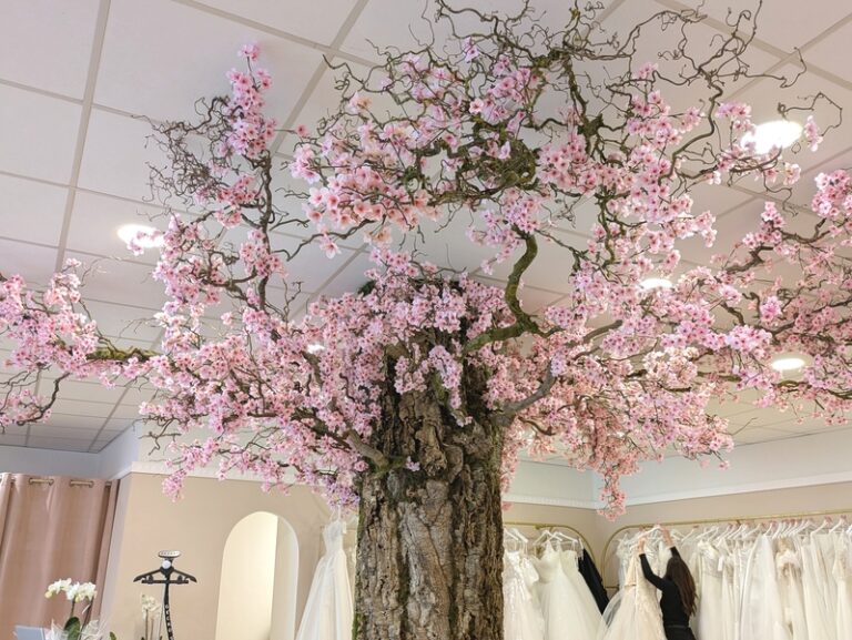 PXL 20260421 133445747 768x577