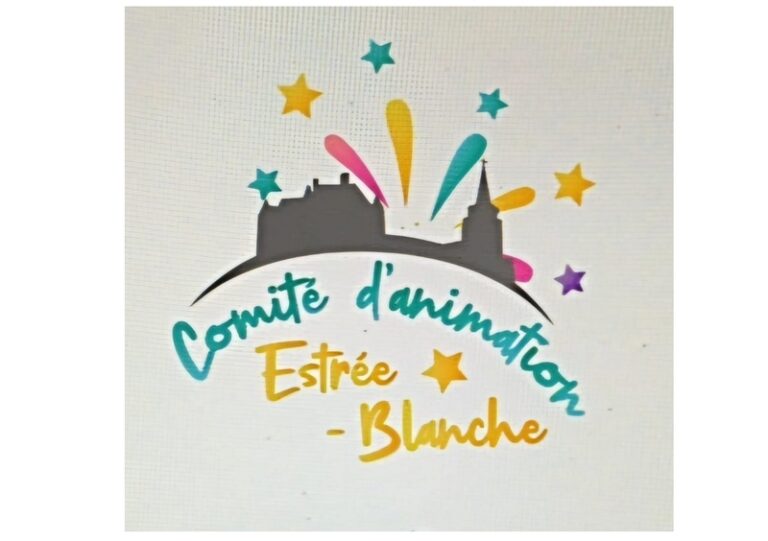 COMIT2 Danimation estree blanche 768x541
