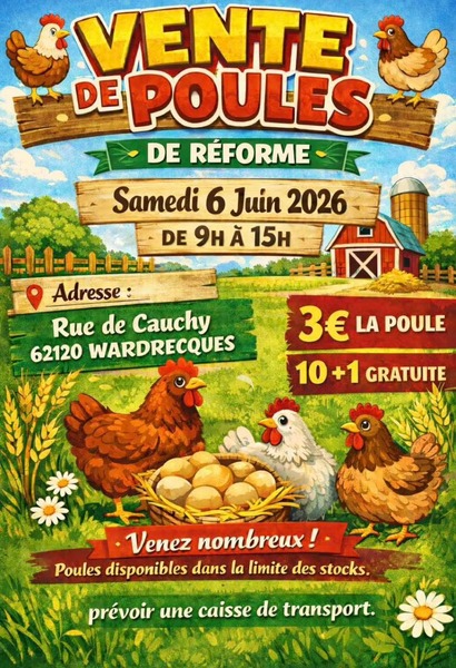 Vente de poules de réforme ce samedi 6 juin à Wardrecques