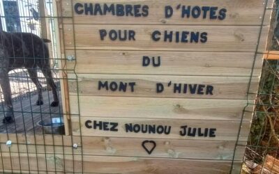 Chambres d&rsquo;hôtes pour chien du Mont d&rsquo;Hiver – BLARINGHEM