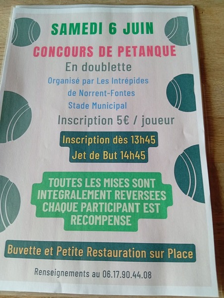 Un concours de pétanque sera organisé ce samedi 6 juin à Norrent Fontes