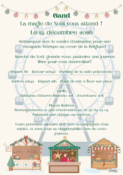 Un déplacement au marché de Noel de Gand en Belgique avec le comité des fêtes d'Estrée Blanche ce dimanche 13 décembre