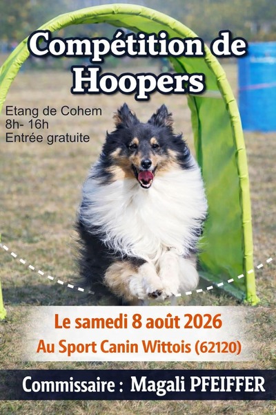 Compétition de Hoopers ce samedi 8 aout à Wittes