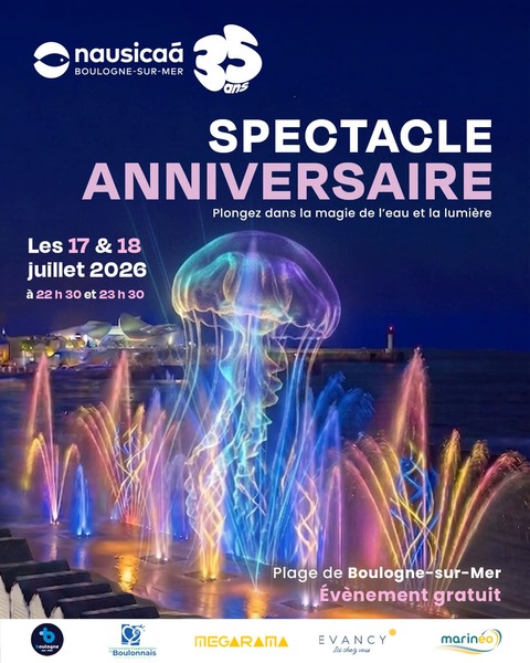 Spectacle aquatique ces 17 et 18 juillet à Boulogne sur mer