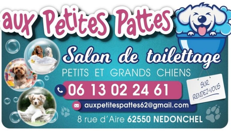 Aux petites pattes nedonchel 768x435