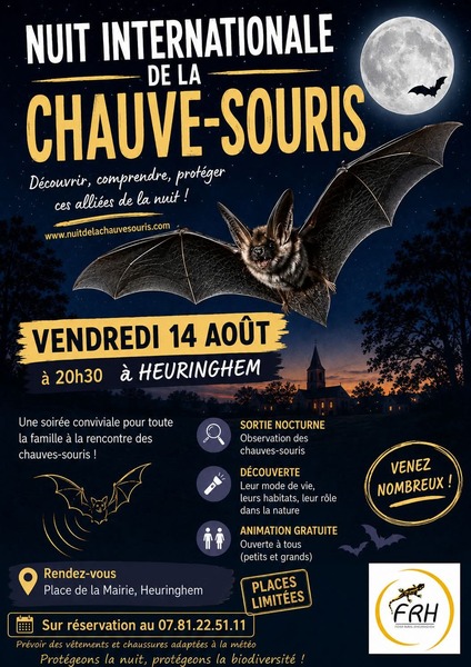Nuit mondiale de la chauve souris ce vendredi 14 aout à Heuringhem