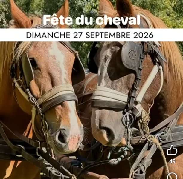 30éme édition de la fête du cheval de la commune de Lillers ce 27 septembre