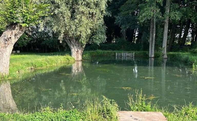 etang 768x474