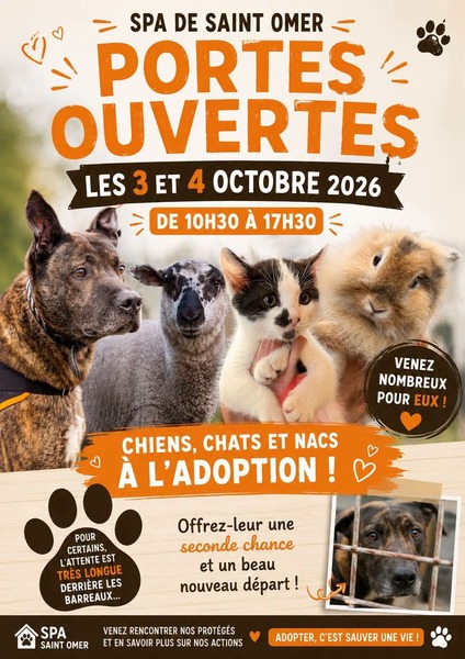 La spa de Saint-Omer vous ouvre ses portes ces samedi 3 et dimanche 4 octobre