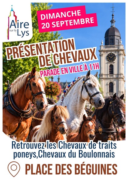 Présentation de chevaux ce dimanche 20 septembre à Aire sur la Lys